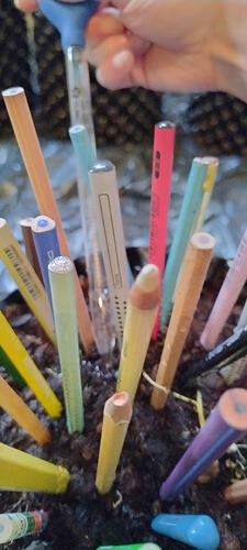 Growreport Bild 23