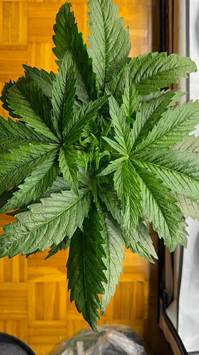 Growreport Bild 26