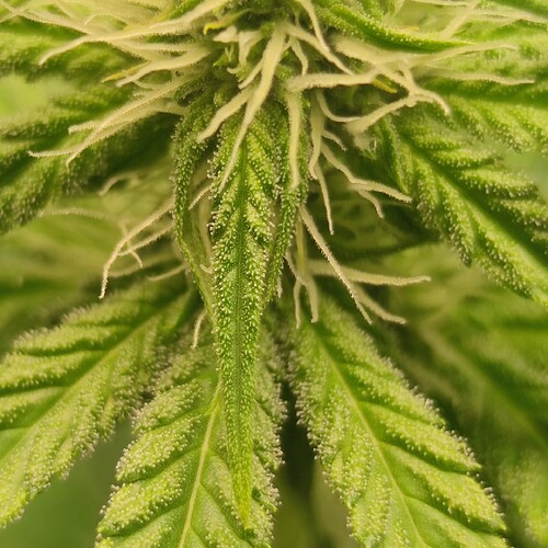 Growreport Bild 26