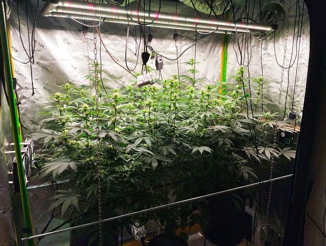 Growreport Bild 9
