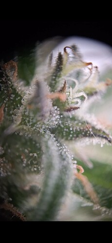 Screenshot_20240618_182401_Gallery