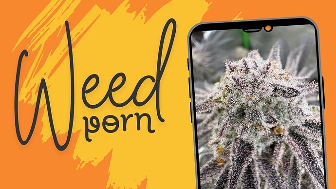 Weed-porn-1920x1080 Februar