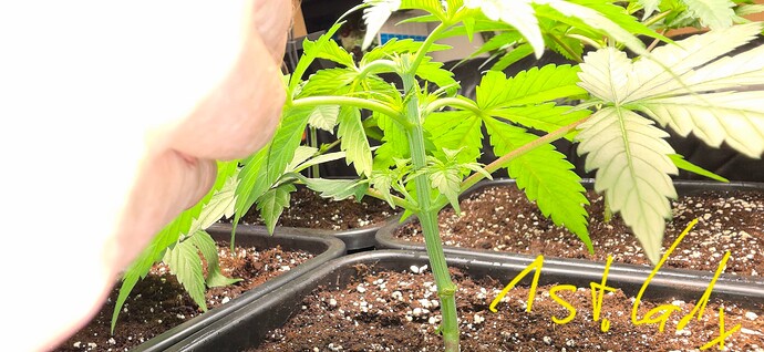Growreport Bild 4