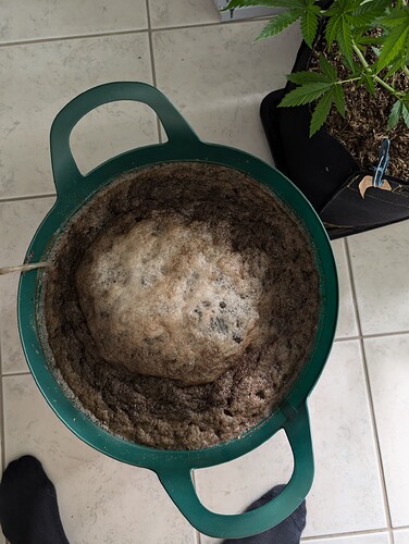 Growreport Bild 30