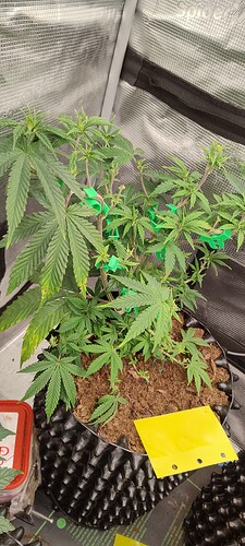 IMG_20251014_102202352