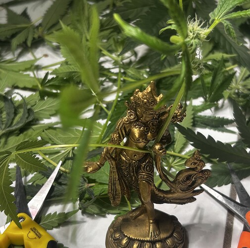 Growreport Bild 44
