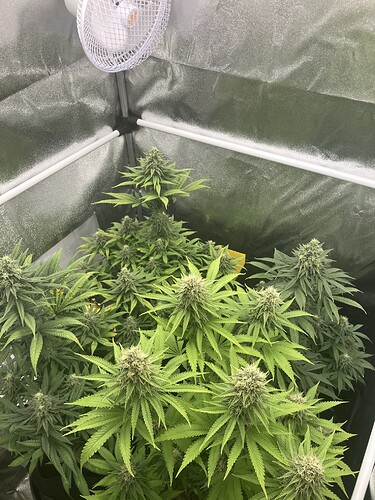 Growreport Bild 5