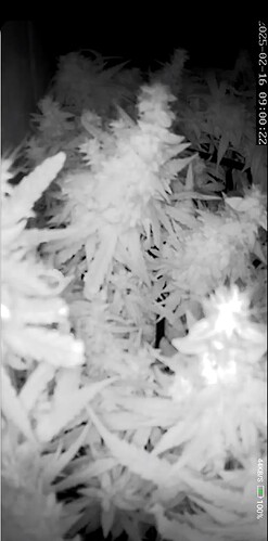 01 2025-02-16_090023