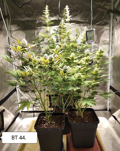 Growreport Bild 1