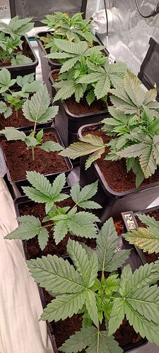 photo_2026-04-17_22-23-19