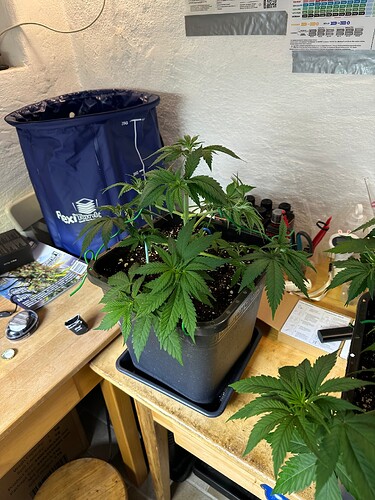 Growreport Bild 23
