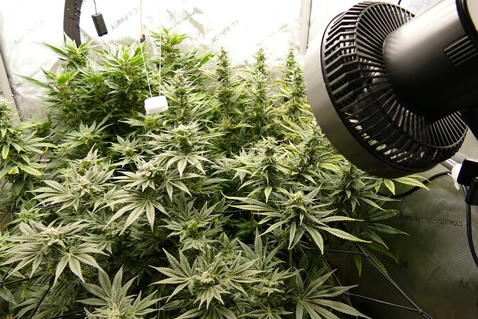 Übersicht_rechts__oben_VT83BT36