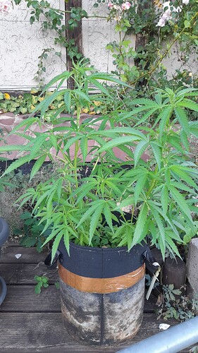 Growreport Bild 10