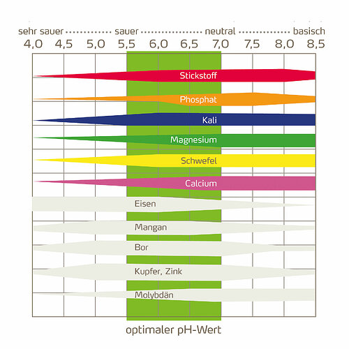 csm_Abbildung-3-Naehrstoffverfuegbarkeit_f0ad4a49b3