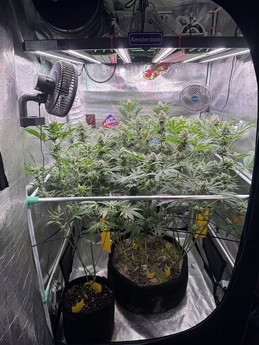Growreport Bild 6