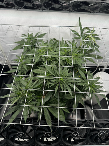 20240512_143545896_iOS