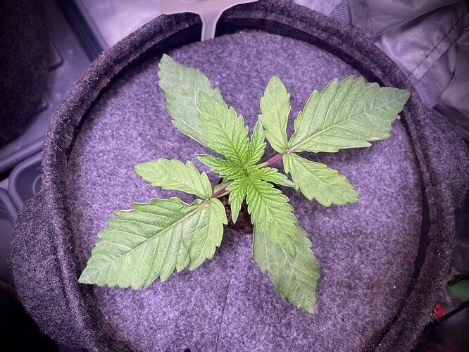IMG_5074