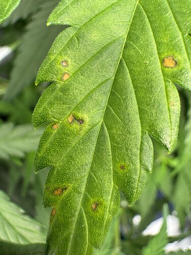 Growreport Bild 16