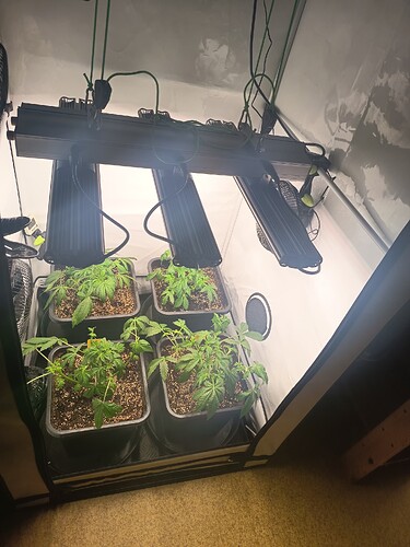 Growreport Bild 13