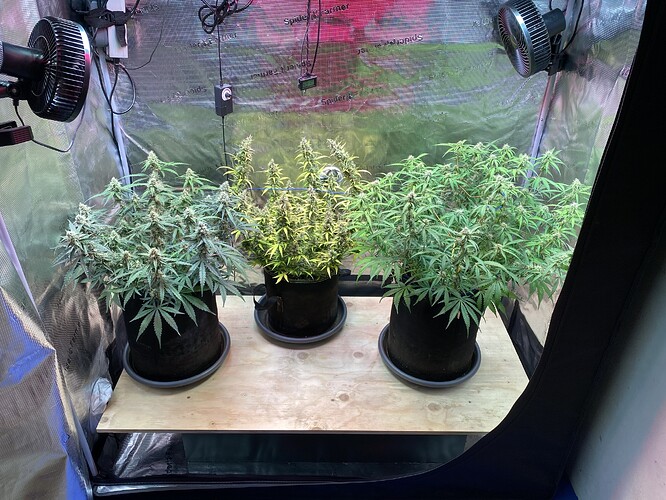 Growreport Bild 90