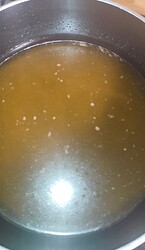 Growreport Bild 20