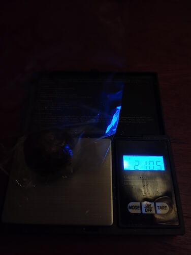 Growreport Bild 19