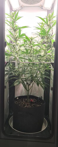 signal-2024-08-20-111258_002