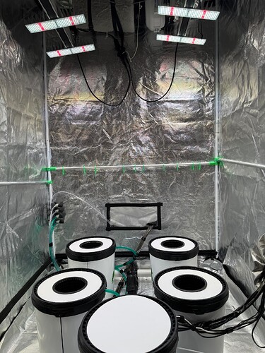 Growreport Bild 1