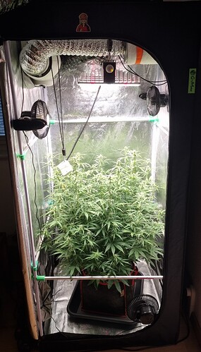 Growreport Bild 16