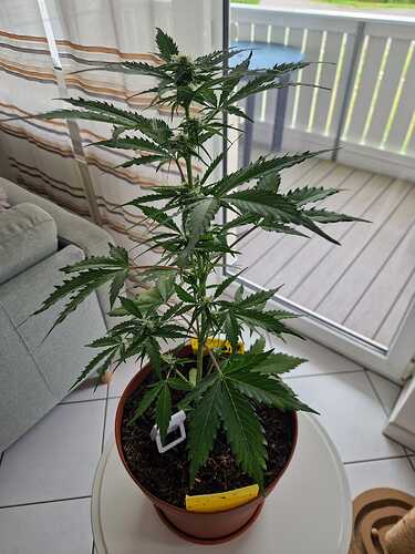 WhatsApp Image 2024-05-22 at 17.48.40 (2)