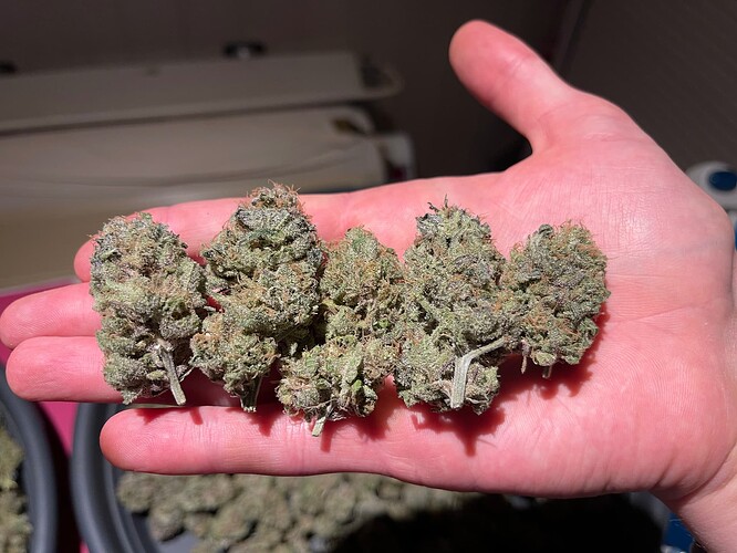 Growreport Bild 9