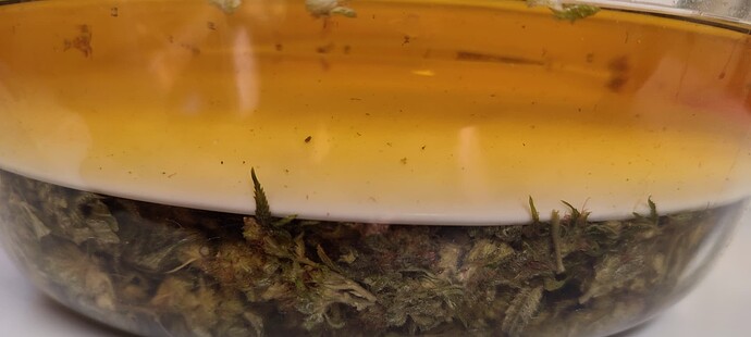 Growreport Bild 79