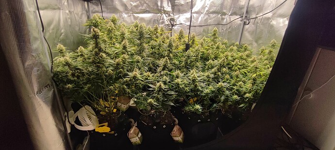 Growreport Bild 1