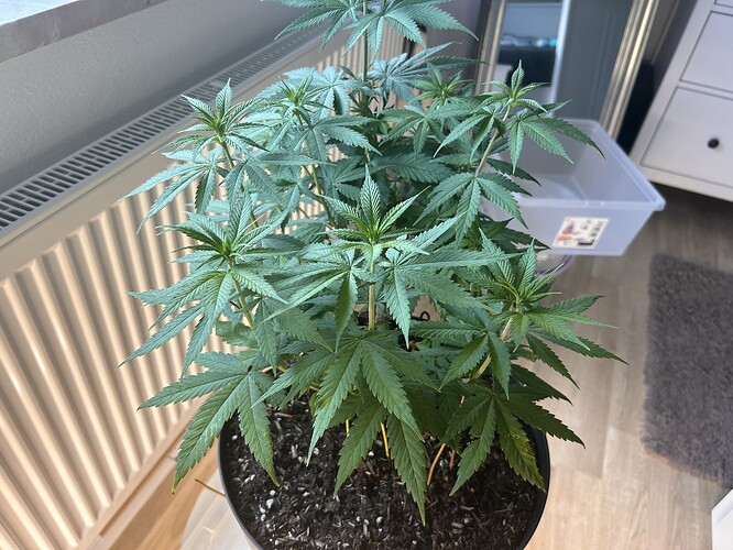 Growreport Bild 22