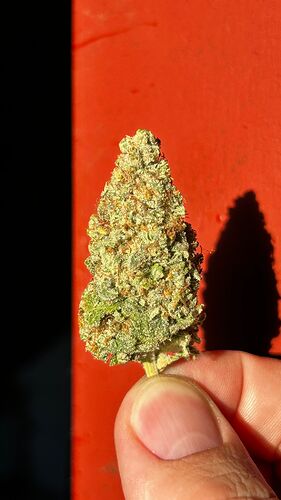 Growreport Bild 12