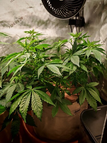 Growreport Bild 7