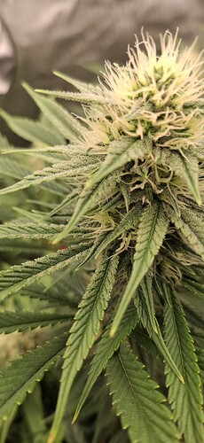 Growreport Bild 11