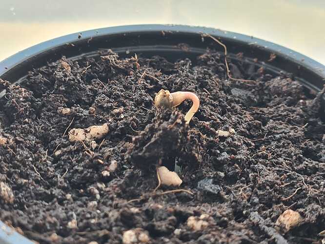 Growreport Bild 4