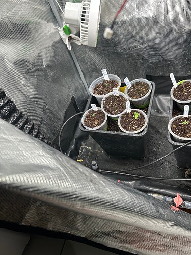 Growreport Bild 22