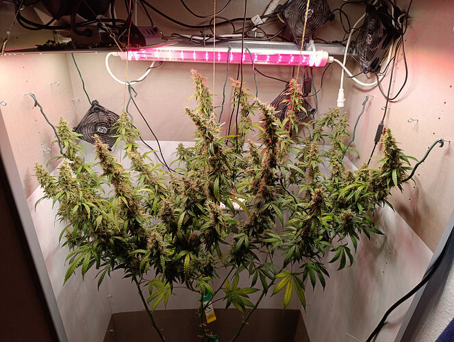 Growreport Bild 12