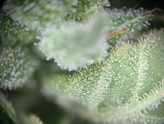 PXL_20250703_132418079