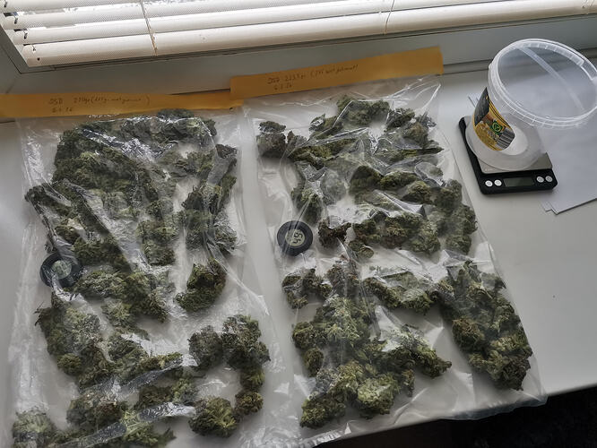 Growreport Bild 21