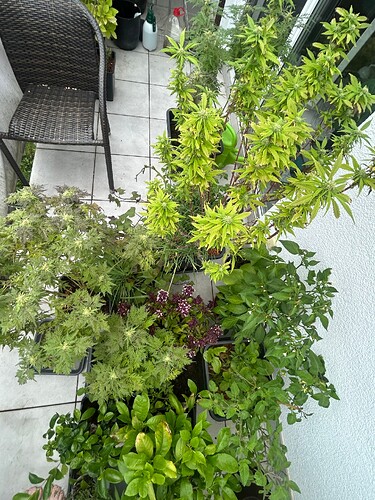 Growreport Bild 8