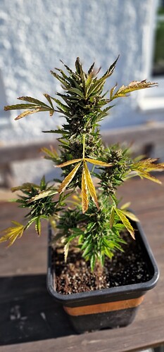 Growreport Bild 54