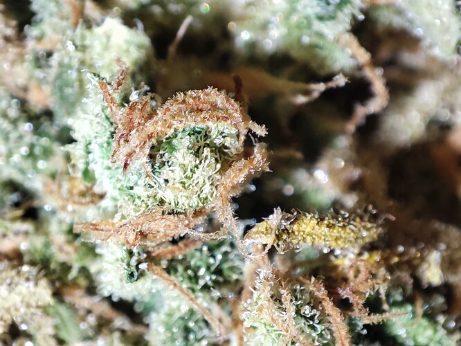 Growreport Bild 20