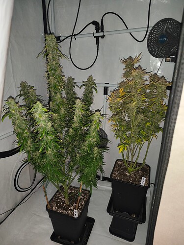 Growreport Bild 12