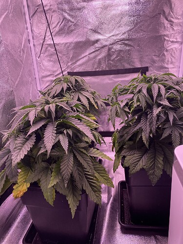 Growreport Bild 2