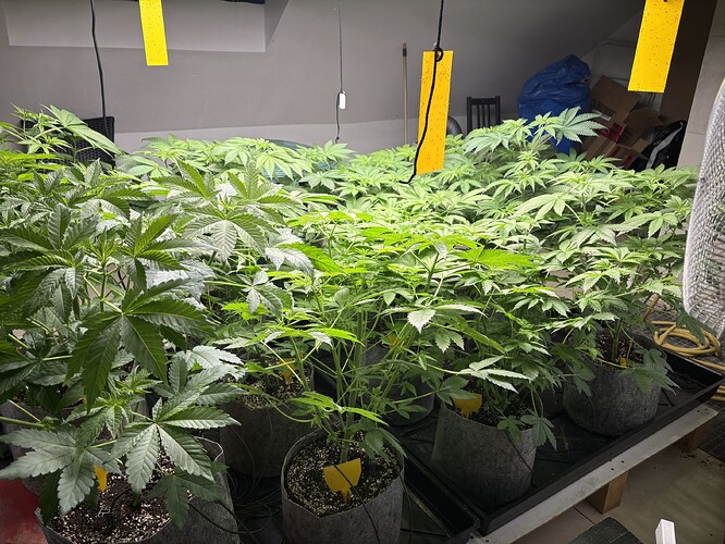 Growreport Bild 15