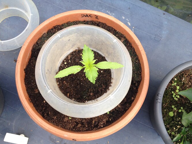 Growreport Bild 18