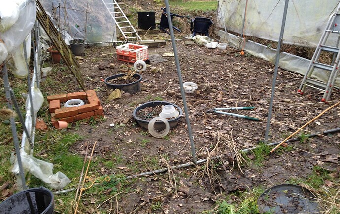 Growreport Bild 10